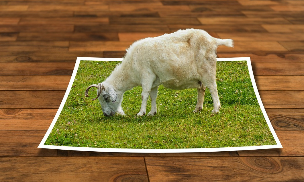 keyframing-ratschlaege Keyframing-Tipps After Effects Vorlagen