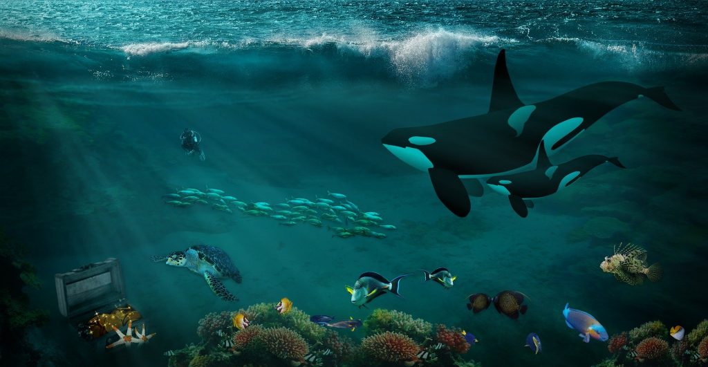 lightwave-3d-grafiker LightWave 3D Grafiker