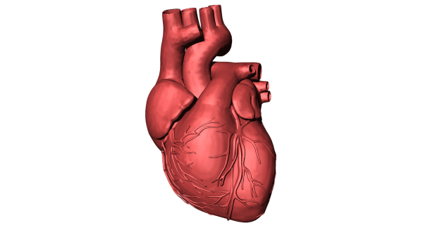 3D Konfigurator 3D Animationen 3D Renderings Logo