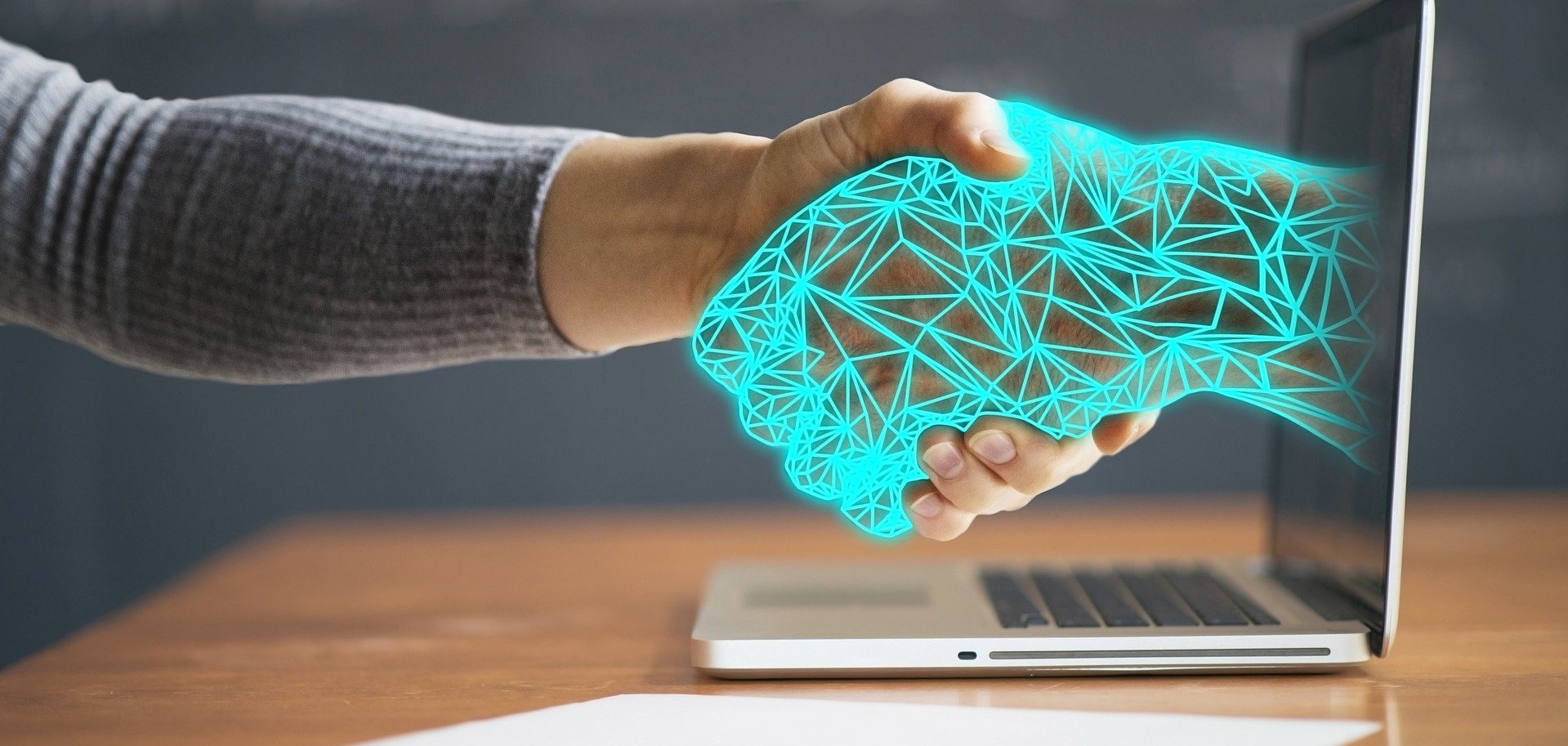 3d-renderings-platform-orchidee Web-Plattform Embodee